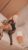 Bursa Escort Özel Günlerde Yanınızda Olacak Olan Yasmin - Görsel1