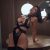 Merkez VİP Escort Bayan Tina - Görsel3