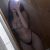 Bursa GörükleEscort Bayan VİP  Masal - Görsel2
