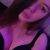 Bursa Görükle VİP Escort Güneş - Görsel1